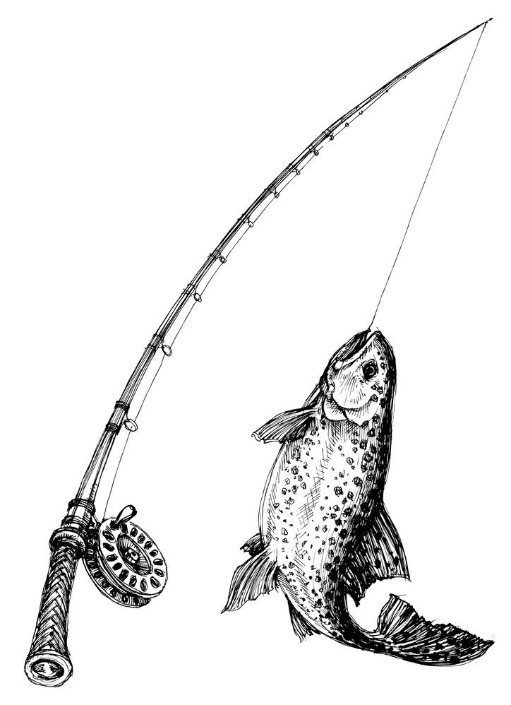 fishing pole and fish hand drawn png