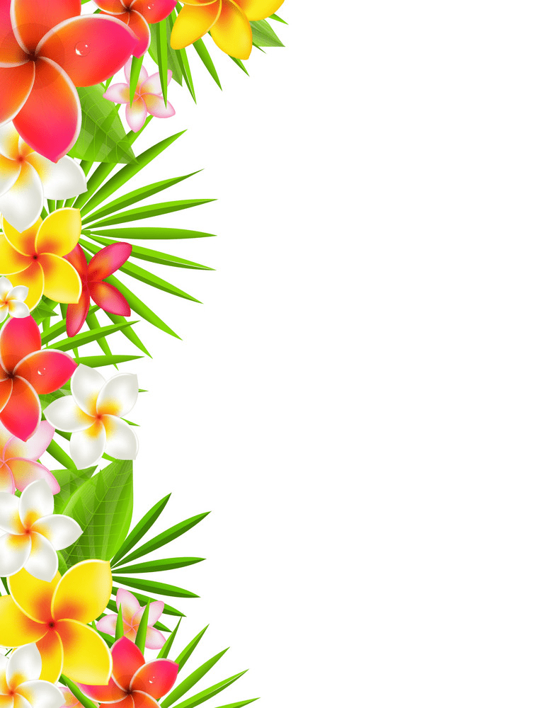 flowers border png