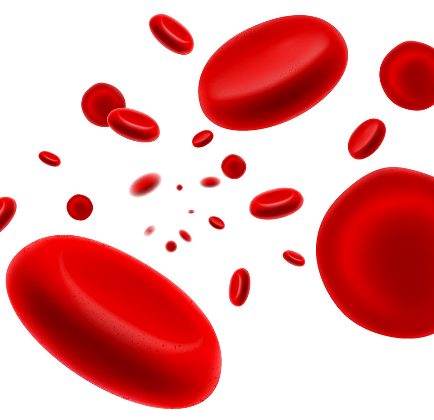 flowing red blood cell png