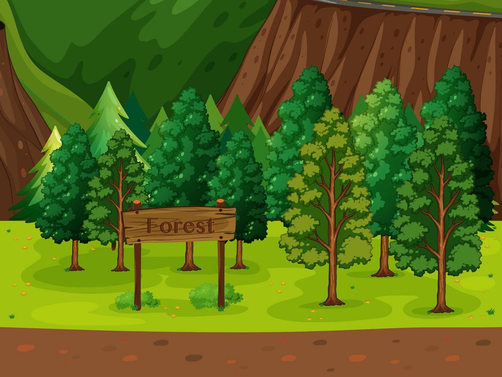 forest 1 png