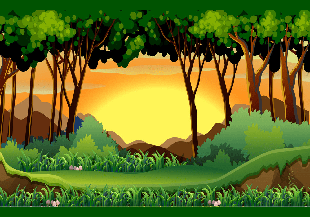 forest png