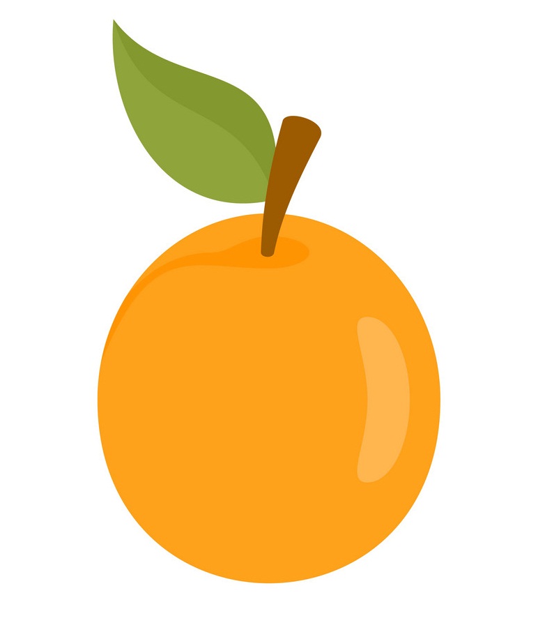 fresh apricot icon