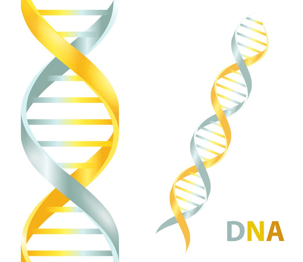 gold and silver dna