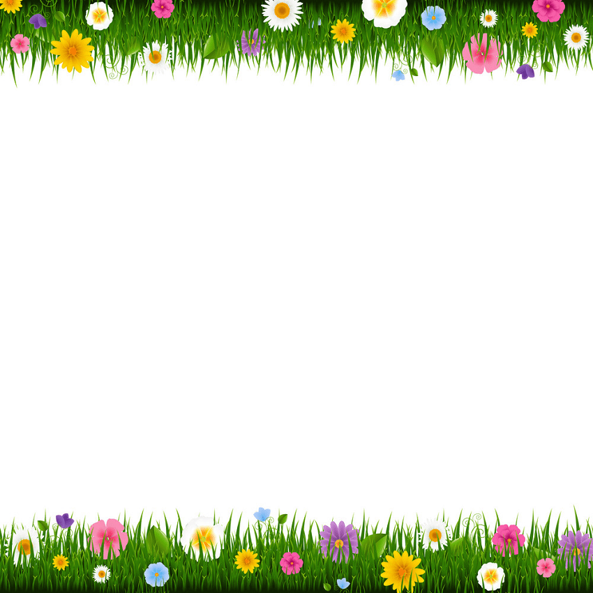 grass and flowers border png