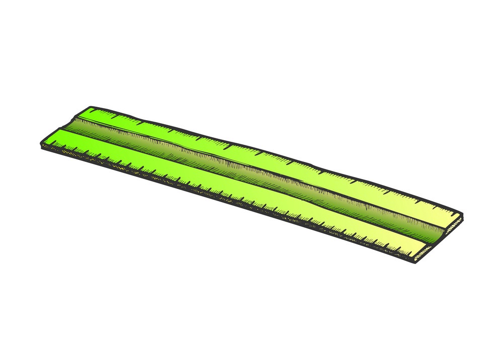 green ruler