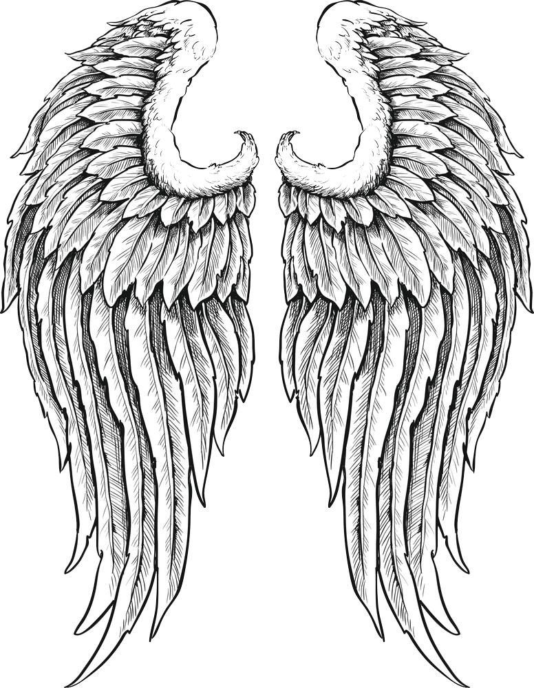 hand drawn angel wings png