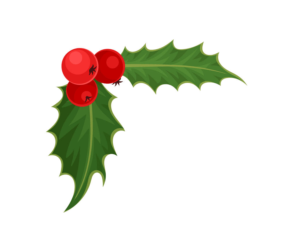 holly 1 png transparent