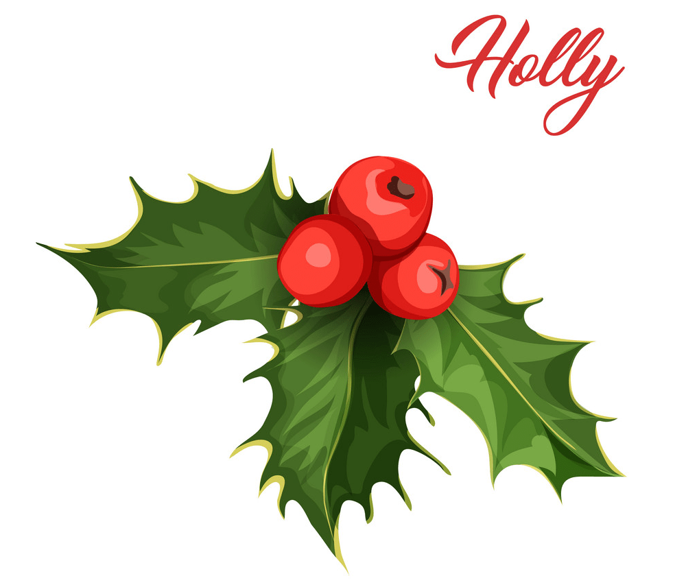 holly 1 png