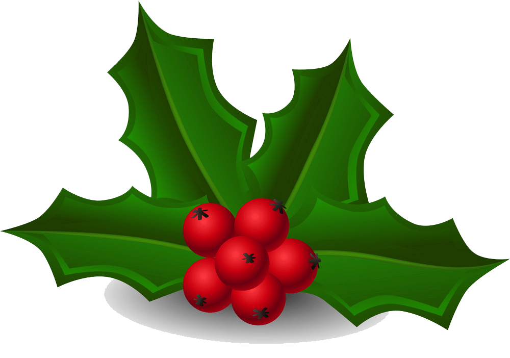 holly 2 png transparent