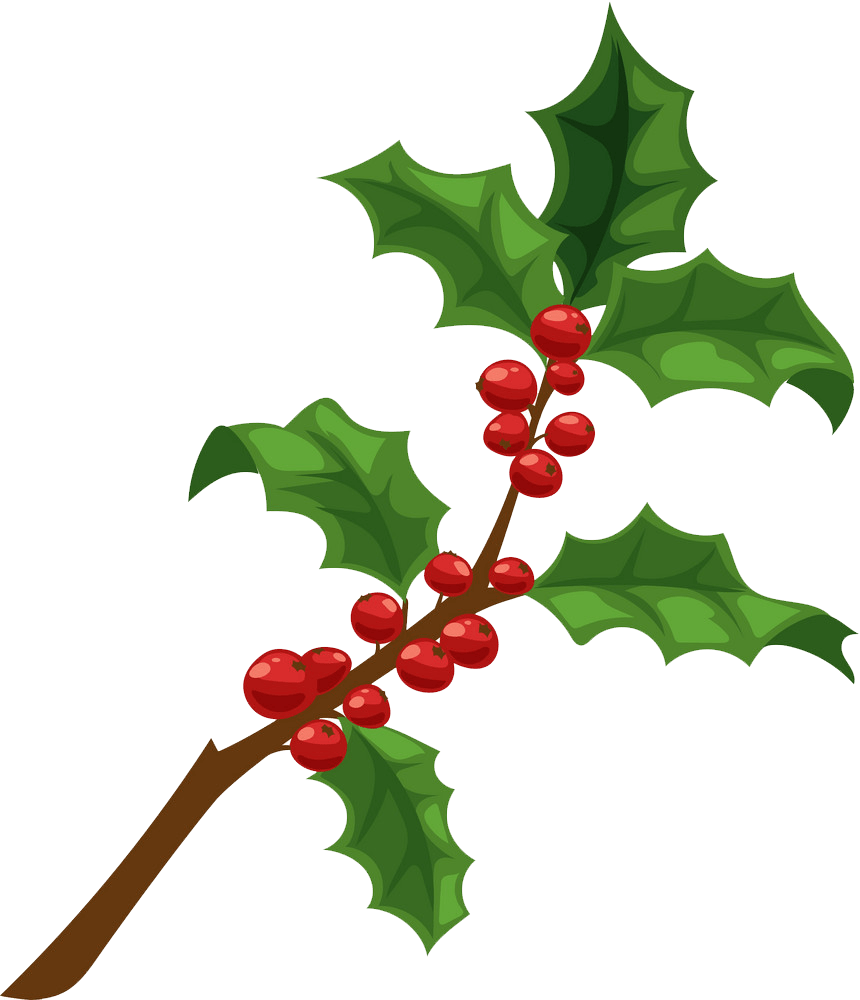 holly branch 1 png transparent