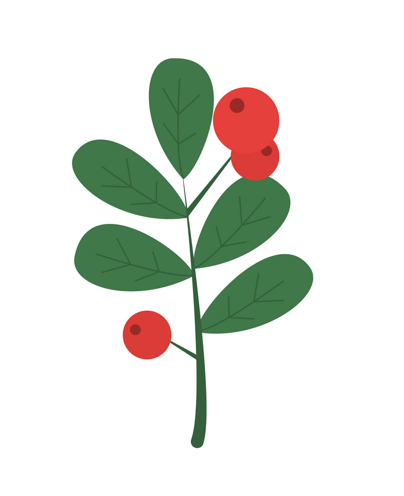 holly branch icon png