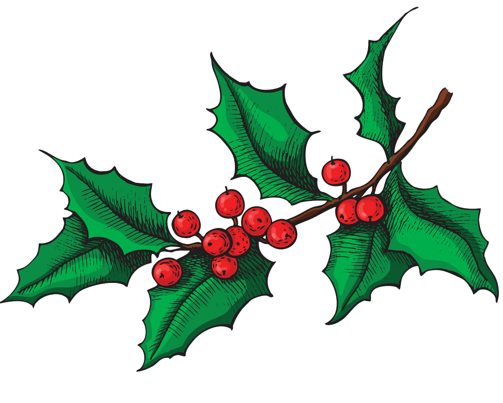 holly branch png transparent