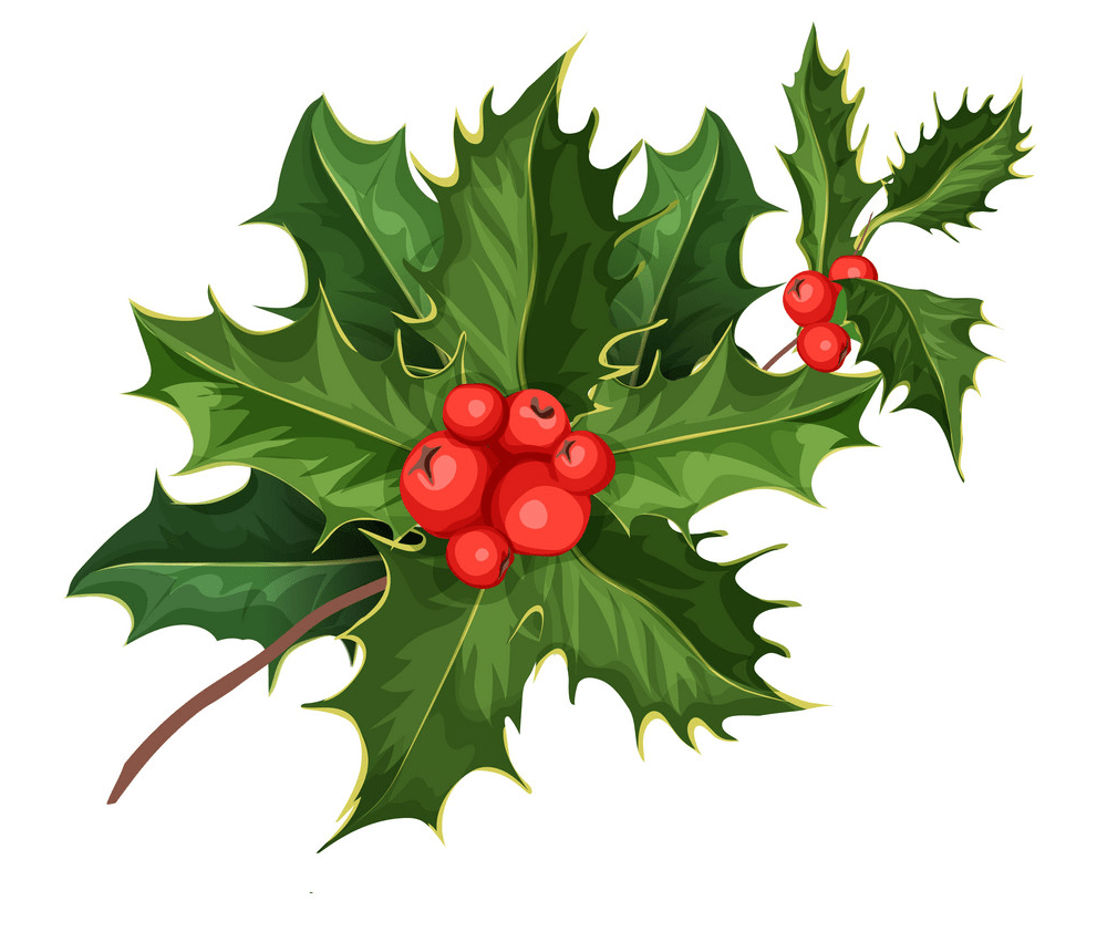 holly branch png