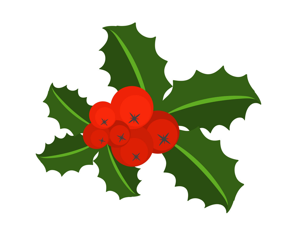 holly icon png