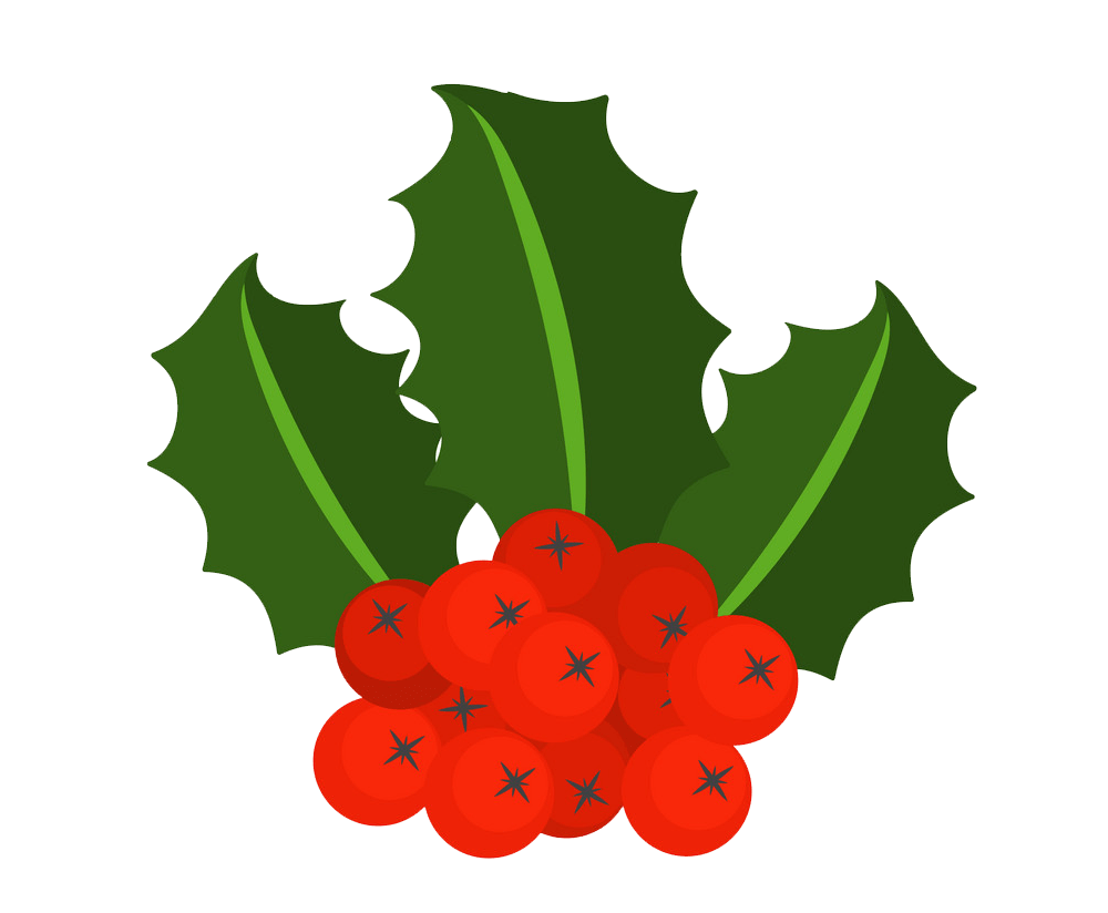 holly with berries png transparent