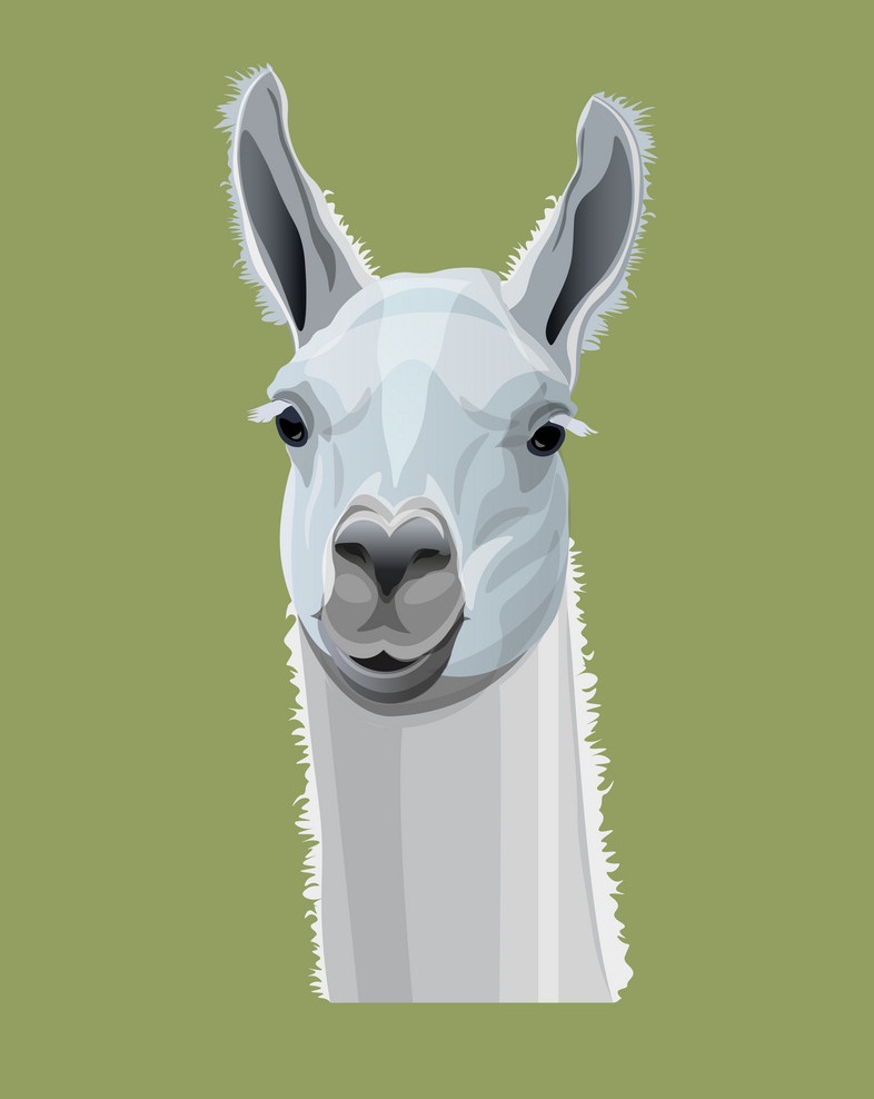 llama head portrait
