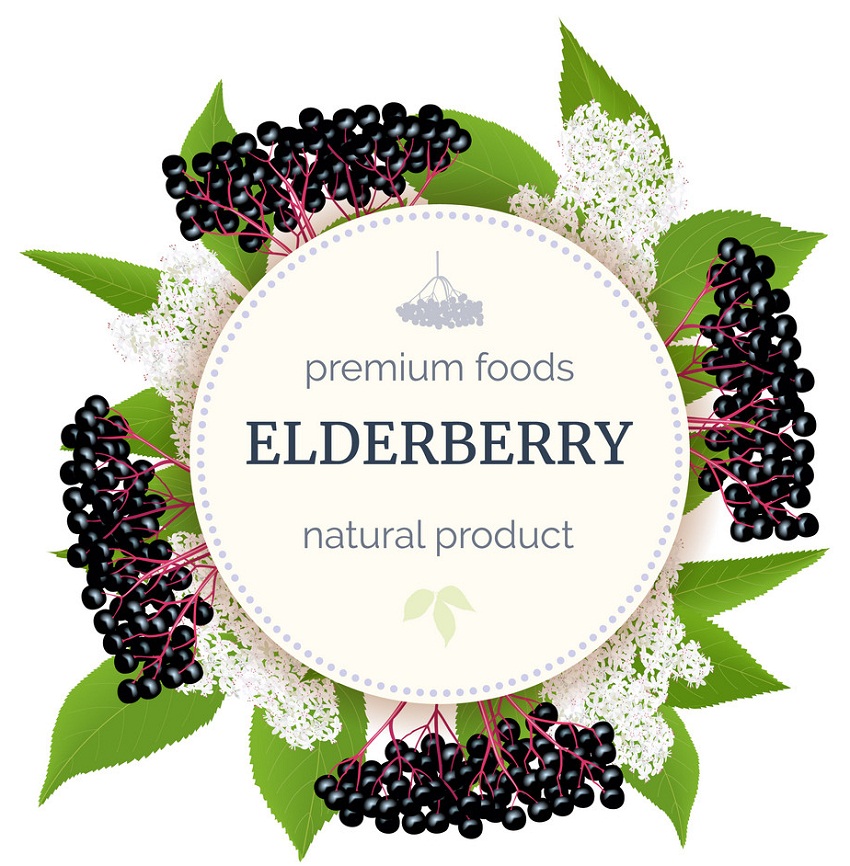 natural elderberry poster