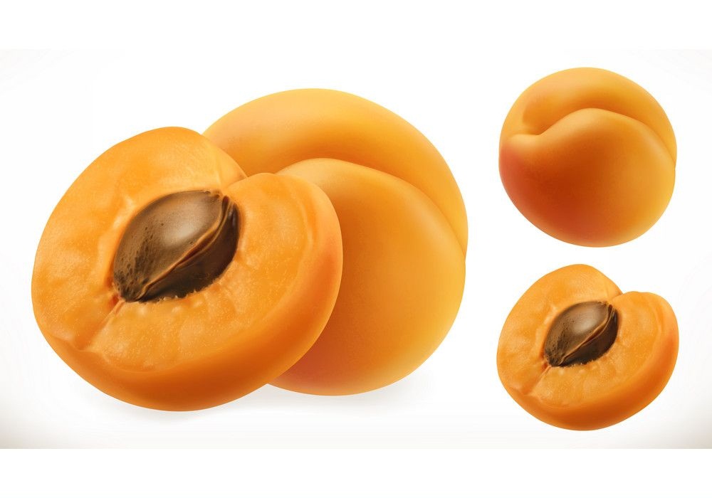 realistic fresh apricots