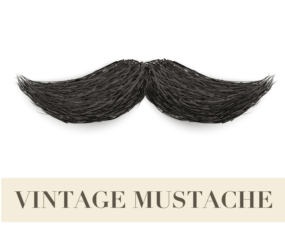 realistic vintage mustache png