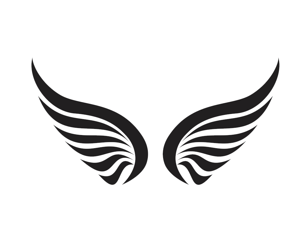 simple angel wings icon transparent