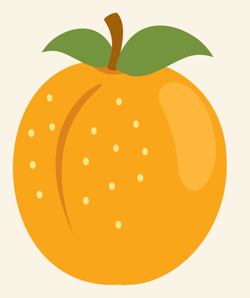simple apricot