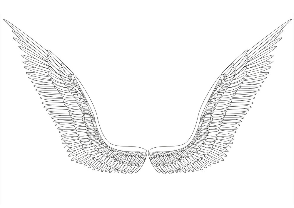 sketch open angel wings