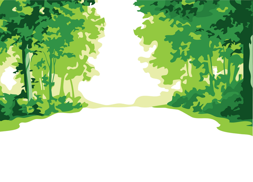 summer forest png