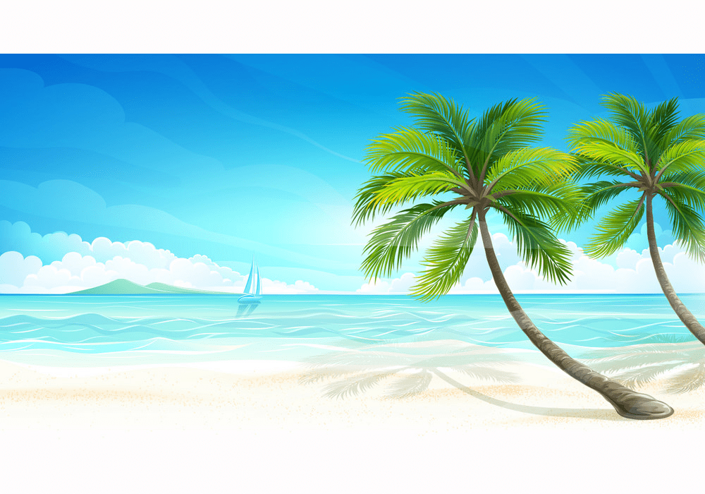 tropical beach with coconut palm tree png