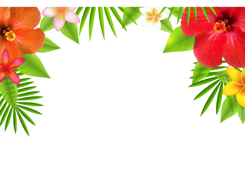 tropical flowers border png
