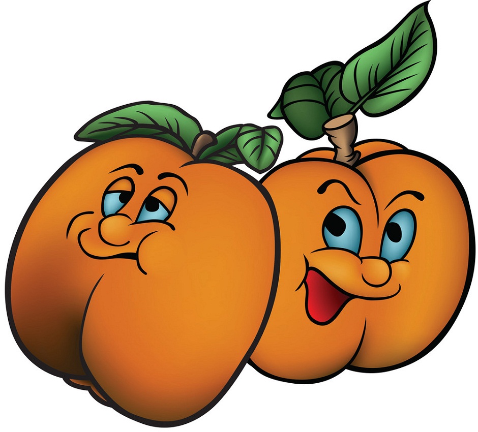 two cartoon apricots