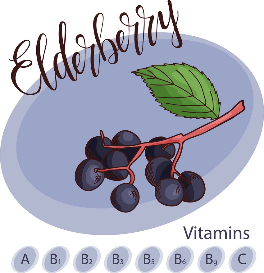 vitamins in elderberry