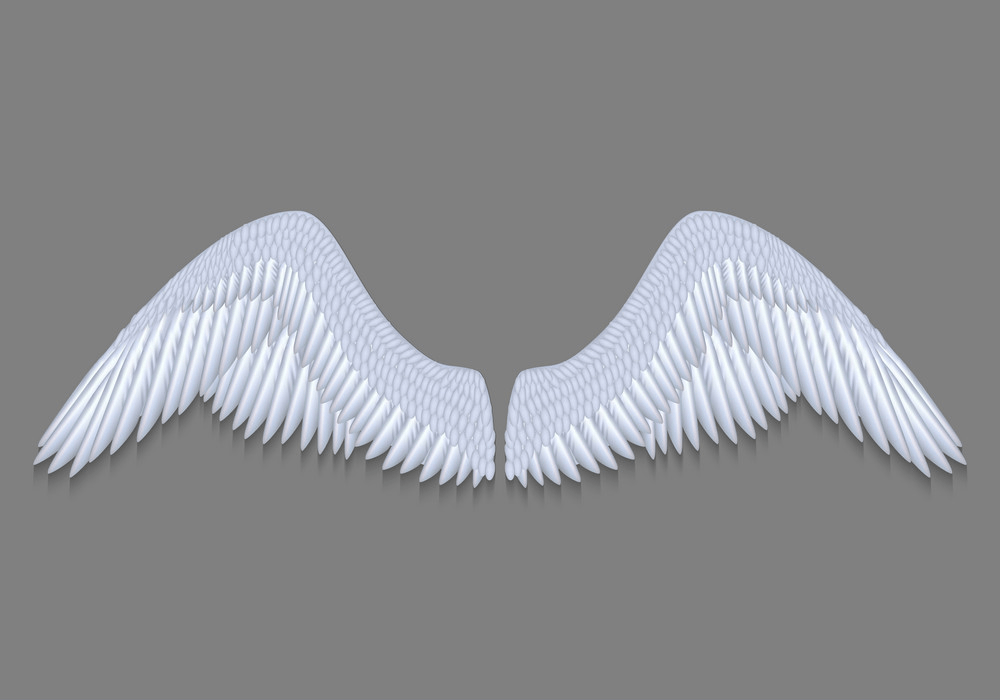 white angel wings png