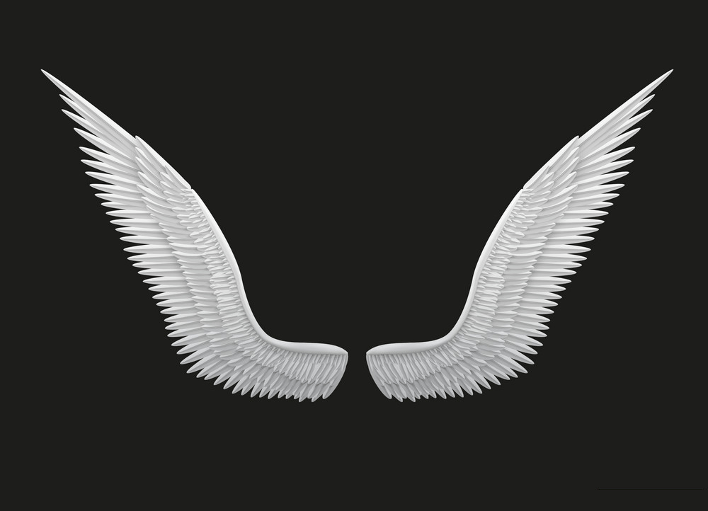 white open angel wings png