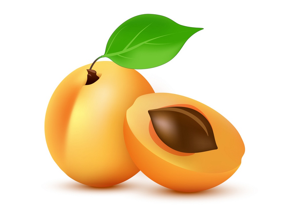 whole and half apricot fruit