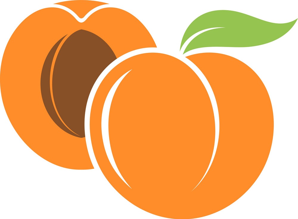 whole and half apricot icon