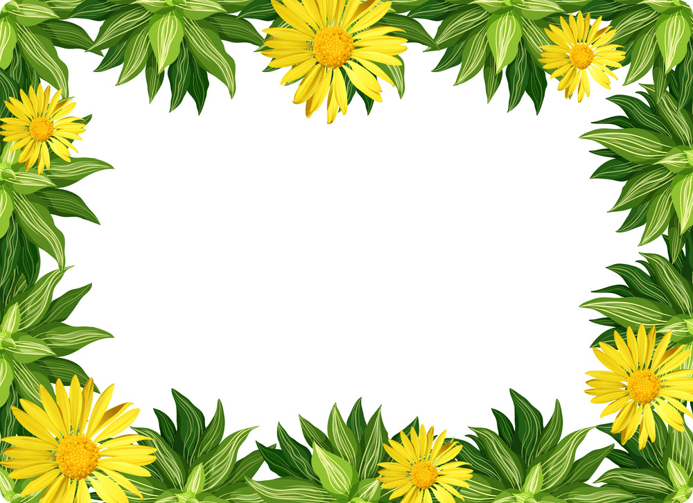 yellow daisy flower border png