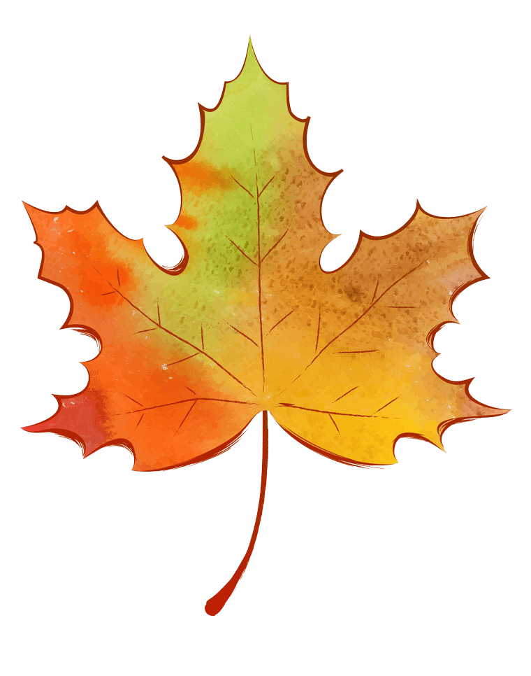 Autumn Leaf clipart transparent