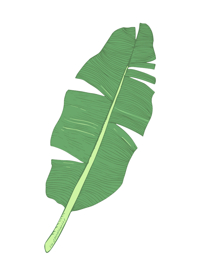Banana leaf clipart transparent 1
