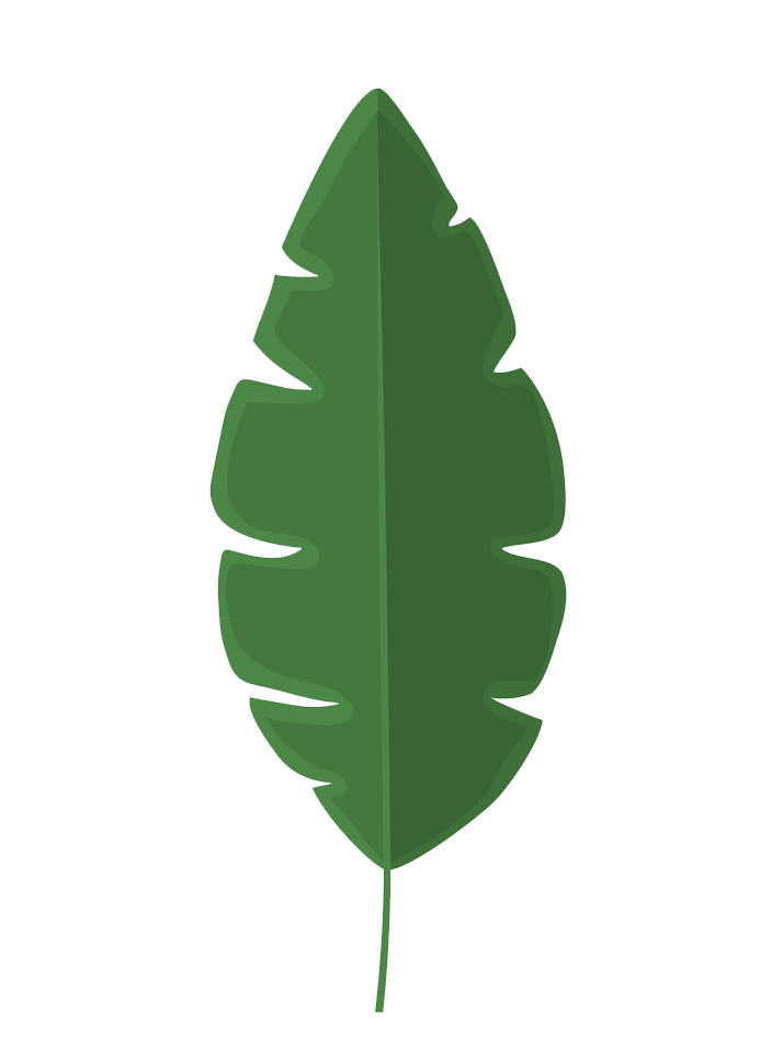 Banana leaf clipart transparent