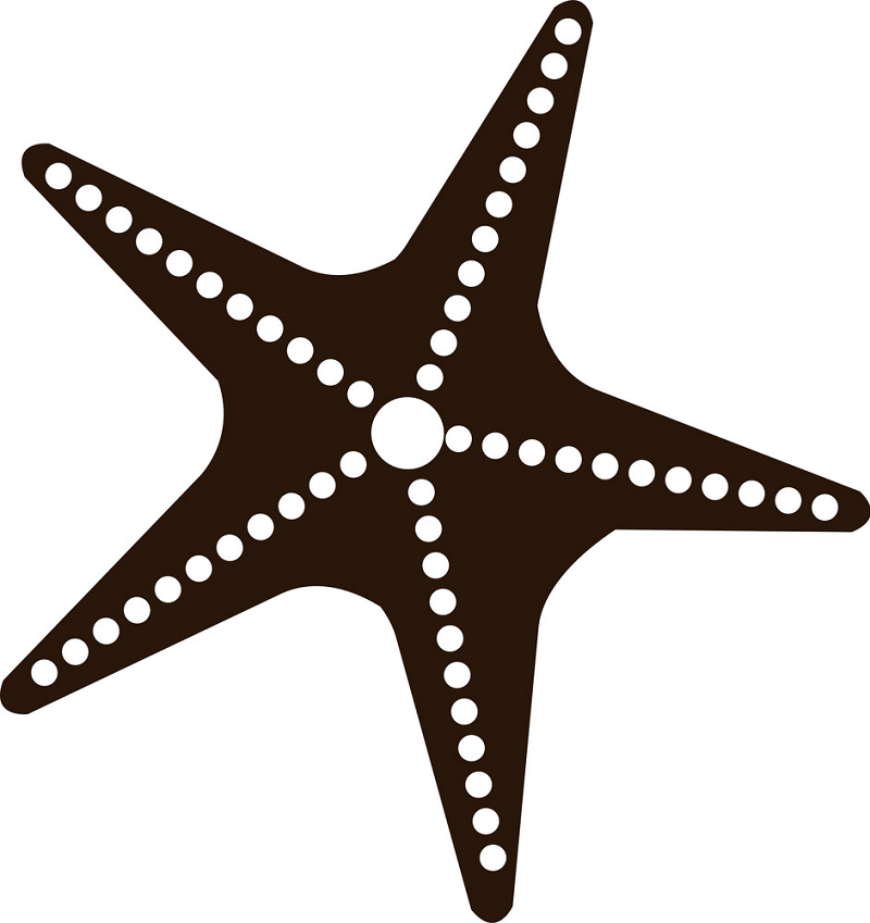 Black and white starfish clipart 1