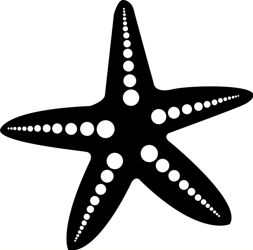 Black and white starfish clipart 2