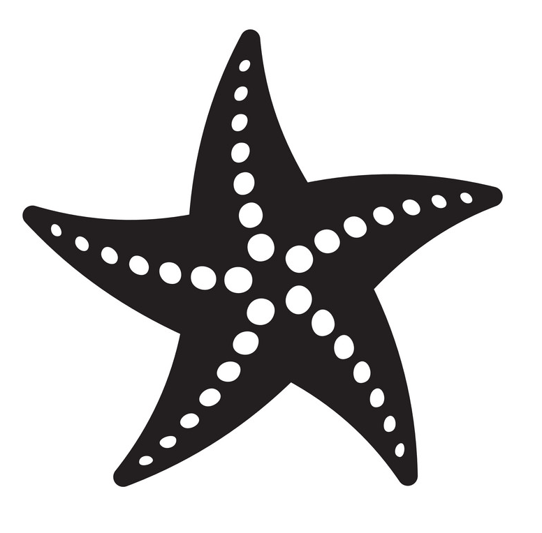 Black and white starfish clipart