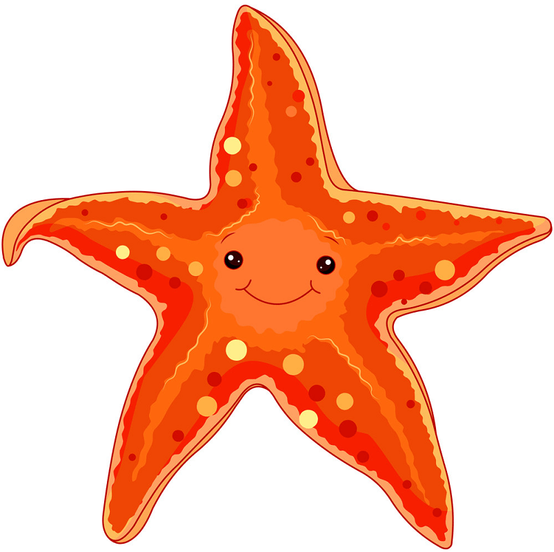 Cartoon starfish clipart