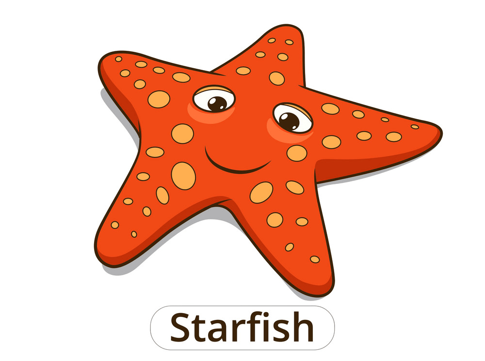Cartoon starfish png