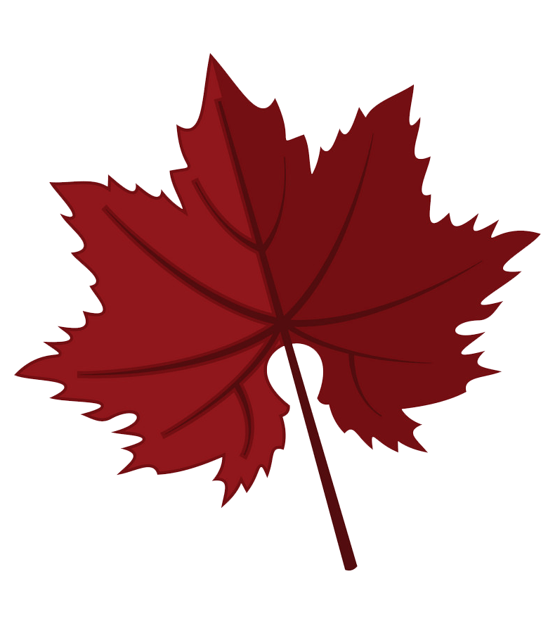 Dark red maple leaf clipart transparent