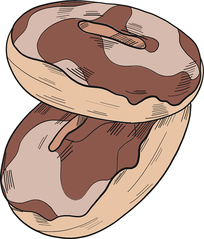 Donuts clipart transparent image