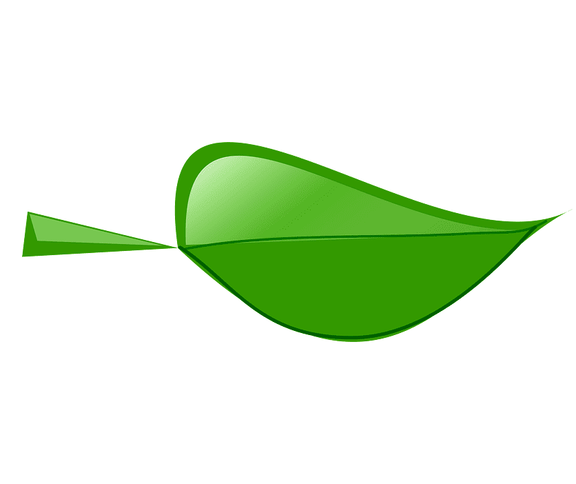 Free Leaf clipart png