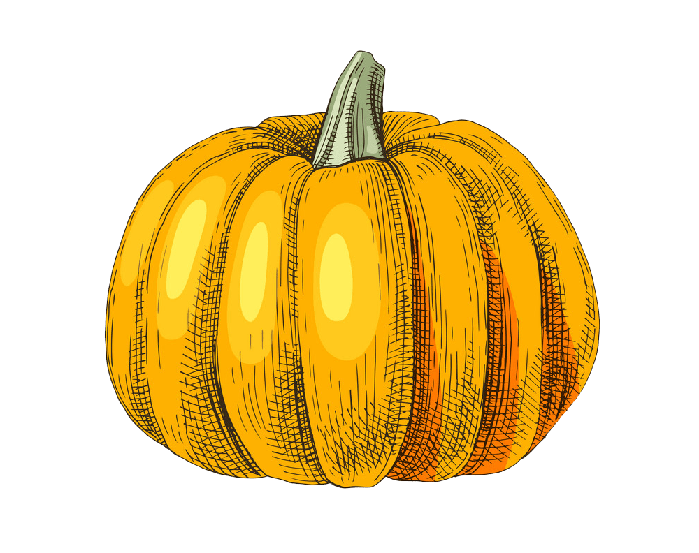 Hand drawn pumpkin clipart transparent