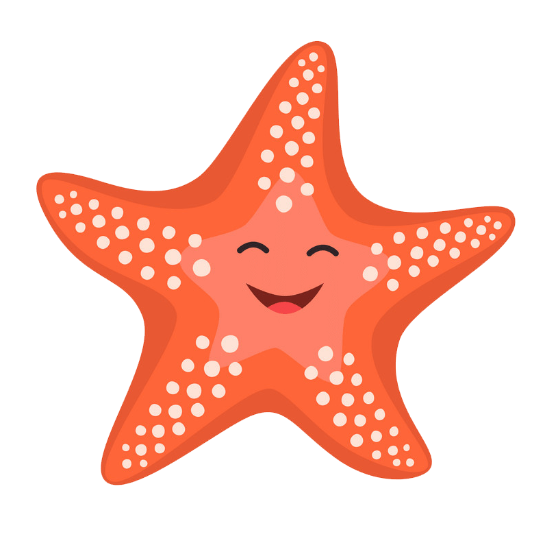 Happy starfish clipart transparent