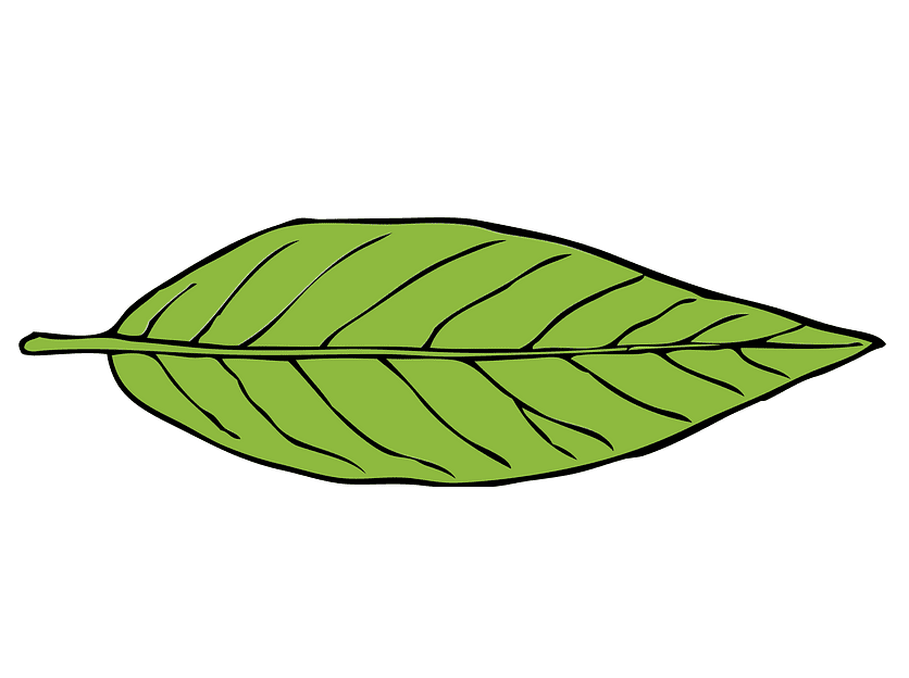 Leaf clipart download
